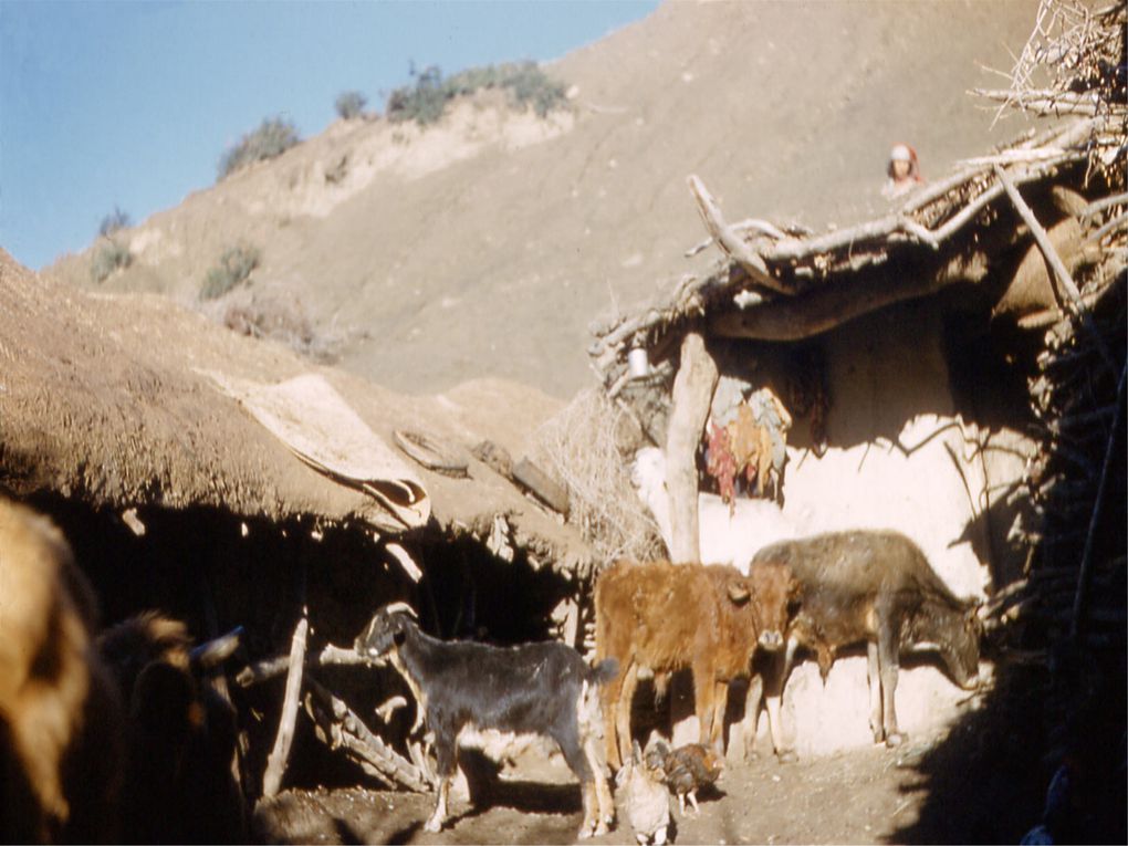 De magnifiques photos prisent en 1961 et 1962 par Philippe FOUCHER de la 7eme Cie du 2/22 R.I.