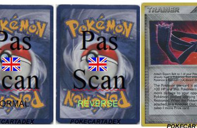 SERIE/PLATINE/ARCEUS/81-90/87/99