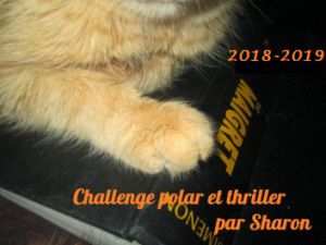 Challenge Polar et Thriller