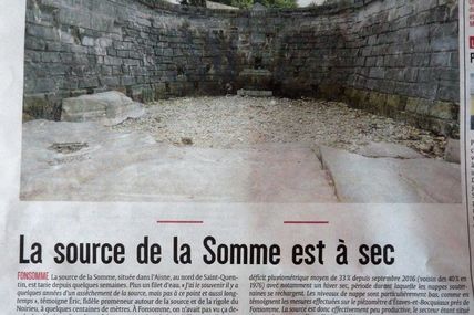 Les sources taries