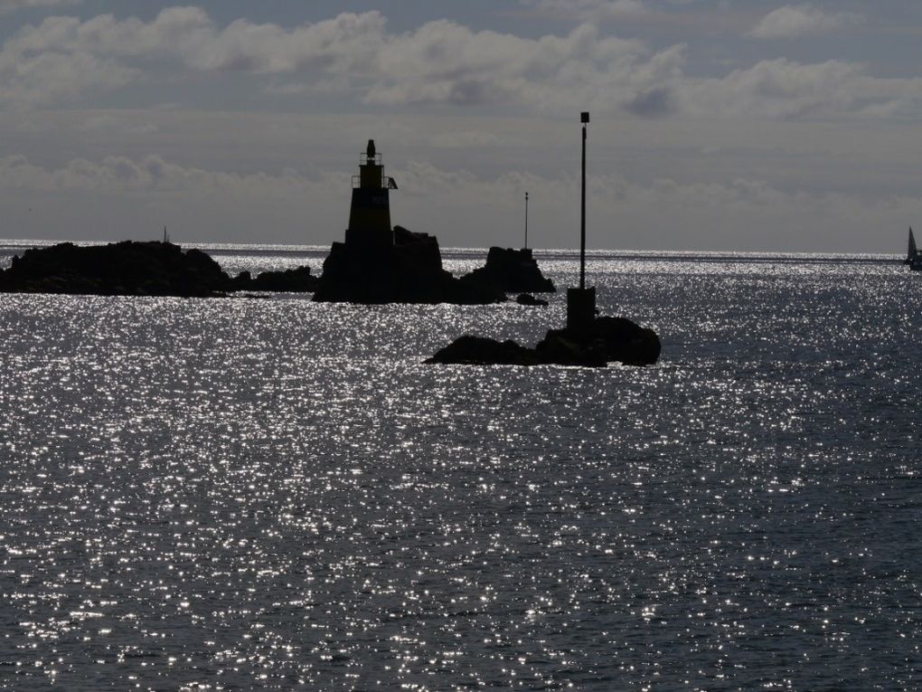 Samedi 3 juin 2017 (Ile de Bréhat)