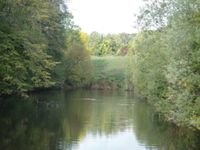 Sortie en forêt