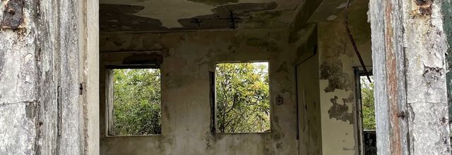 Abandonnée