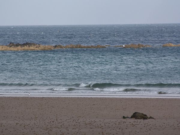 pas de vagues et vent NE soutenu