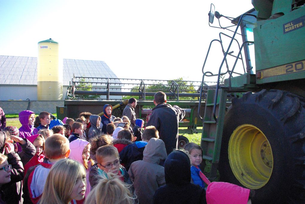 Visite de la ferme