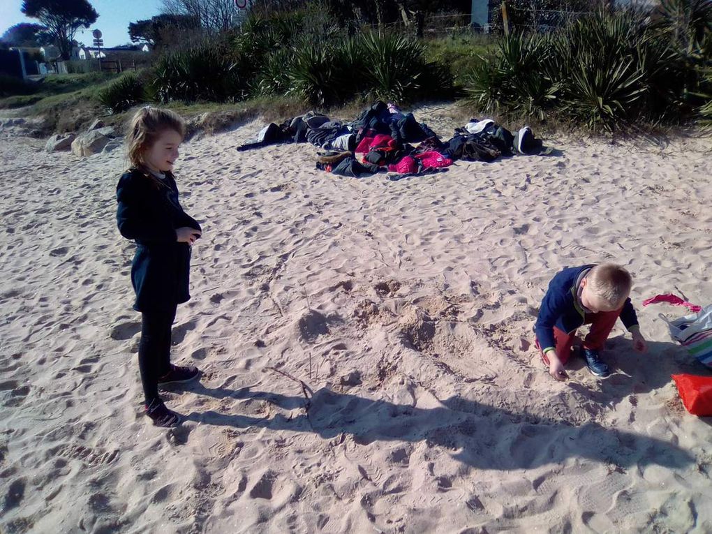 Rituel de veille de vacances: sports collectifs à la plage, châteaux de sable, land art ...