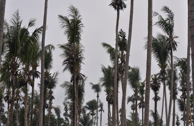 Jour 14 : Île était une dernière fois