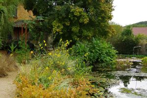 Le jardin d’eau de Carsac-Aillac.............et fin