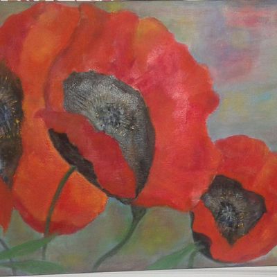 " Coquelicots "