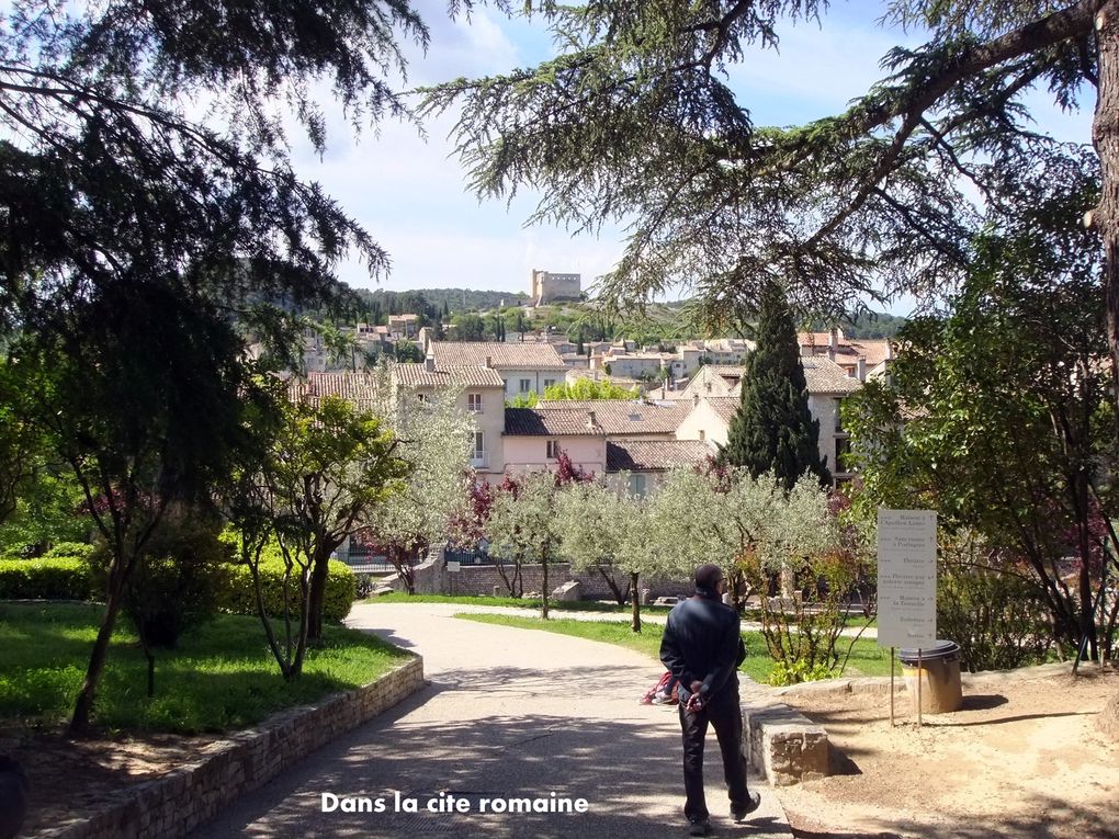 Randonnées pédestres du 20/05 au 27/05