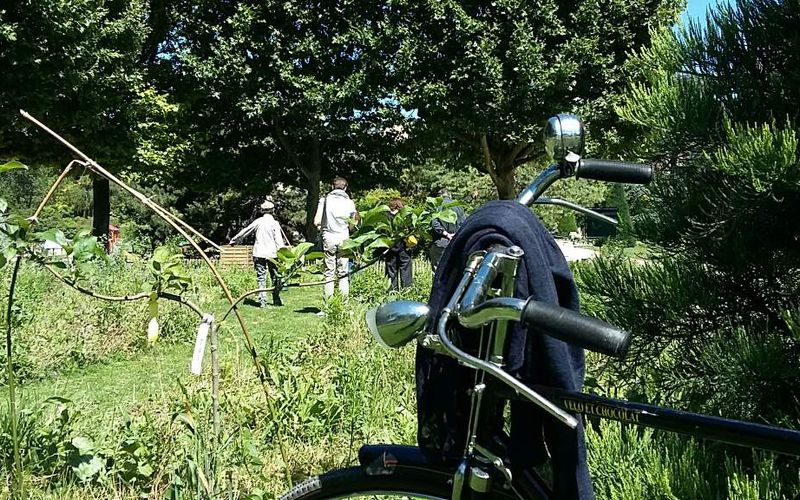 Le conseil de quartier au jardin en images