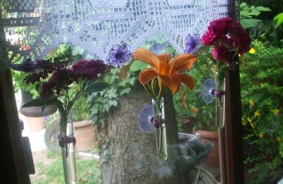 des petits vases à ventouses ,et des fleurs de mon jardin