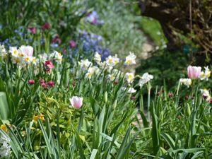 Monet - Les jardins de Giverny - Photos: Lankaart (c)