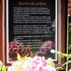 Laissons les parler le langage des fleurs