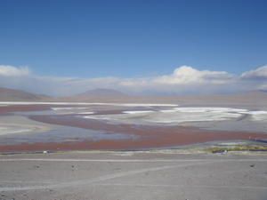 Apercu avec quelques photos de mon court sejour en Bolivie.... ca donne envie de revenir pour visiter le nord!