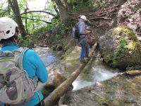 Une traversée du torrent.