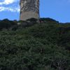Iles Sanguinaires : petite marche autour de la tour de la Parata