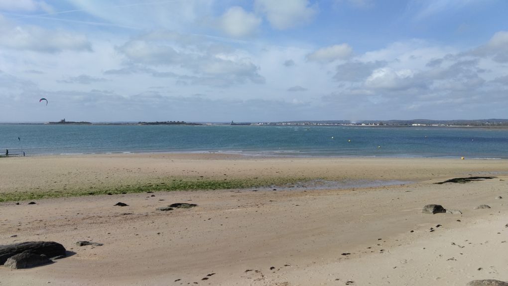Séjour dans le Cotentin mai 2023