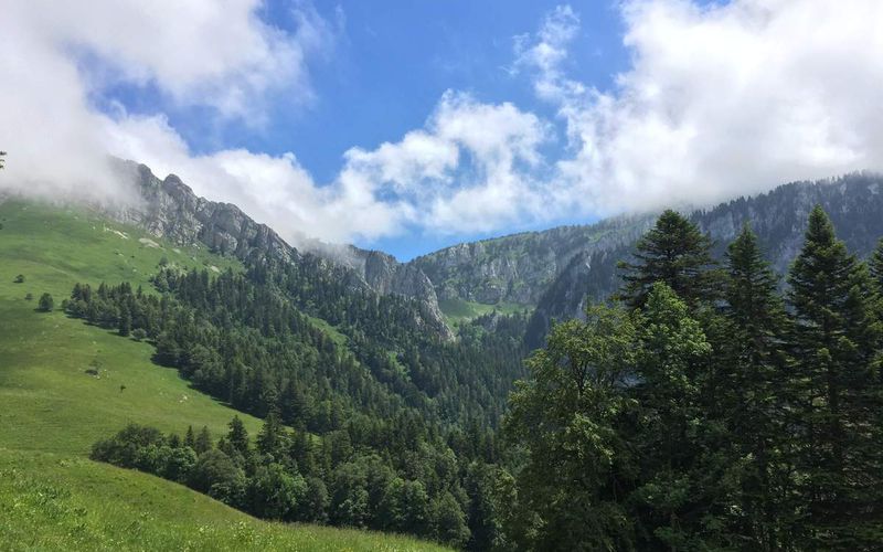 HIKING/La Chartreuse 