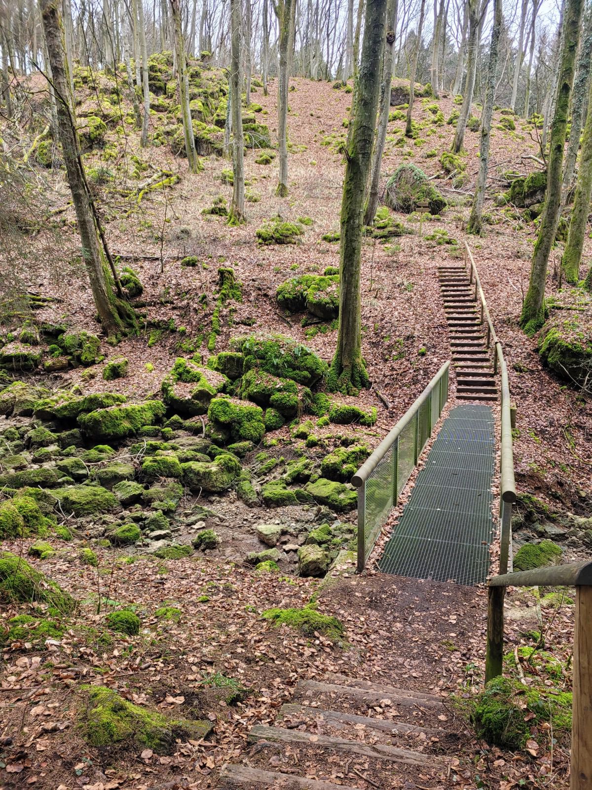 Schönecker Schweiz   Altburgbachtal Brücke 