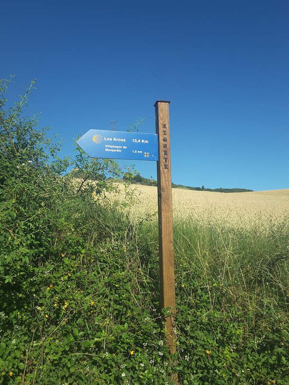 17 juin -  Estella - Los Arcos  21 kms