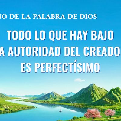 Canción cristiana | Todo lo que hay bajo la autoridad del Creador es perfectísimo