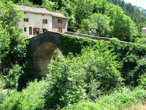 GR 70 - STEVENSON / PARTIE 3 : LE MONT-LOZERE