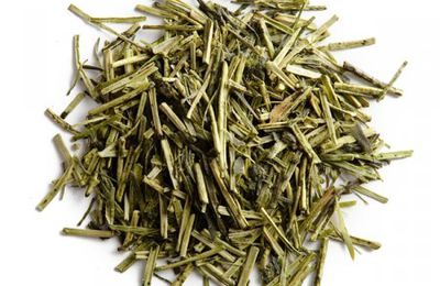 Thé vert du Japon Kukicha (thé de tiges grillées)(Palais des thés)