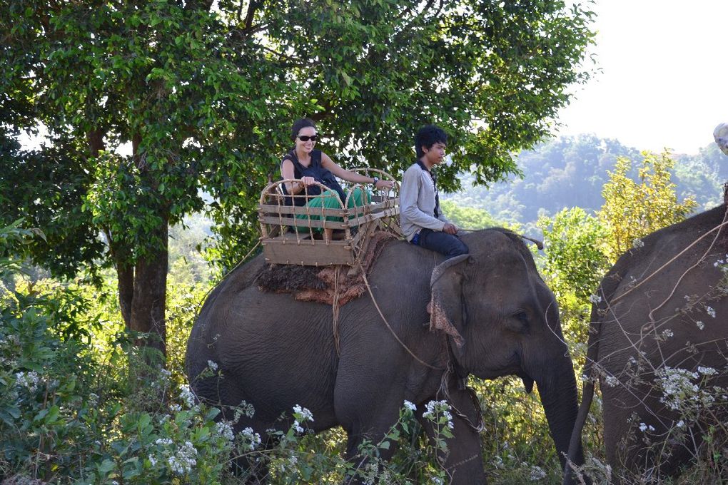 Album - Cambodge-Sen-Monorom