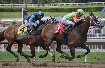 Turf : la méthode Top secrete à double gain 