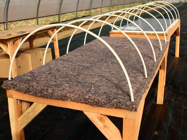 Mise en place de l'aquanappe (tissus synthétique recyclé) sur les tables à semis pour protéger les nappes chauffantes et pour servir de réserve d'eau aux plants.