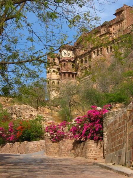 Album - jodhpur