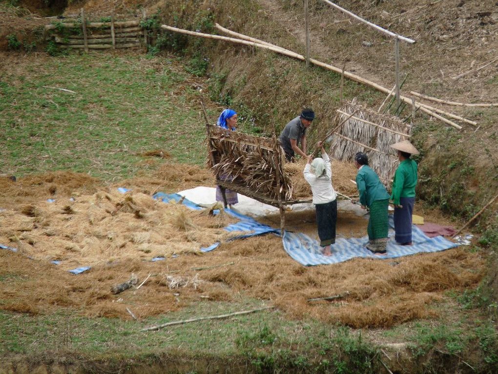 Album - 03. LAOS