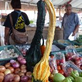 Vu au marché (18-01) - Noy et Gilbert en Thaïlande