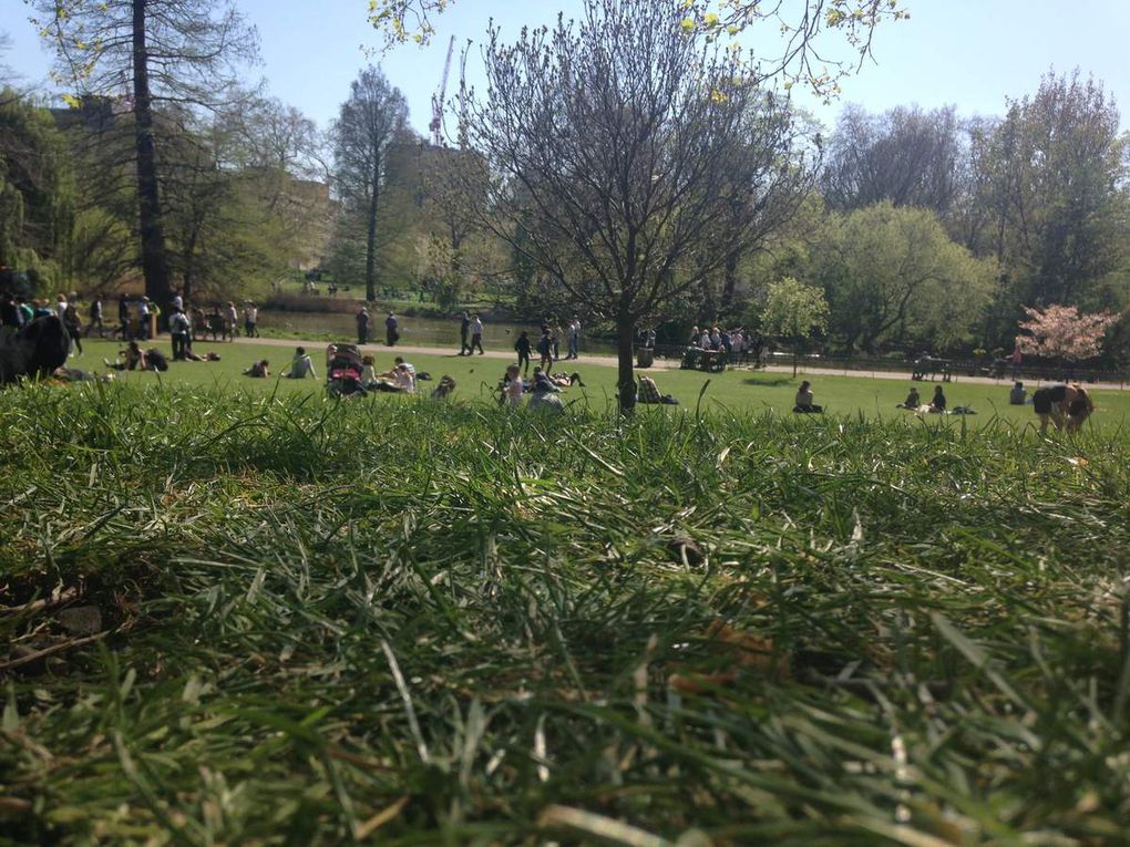 St's James park.