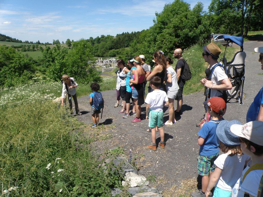 Balade du 11 juin 2017