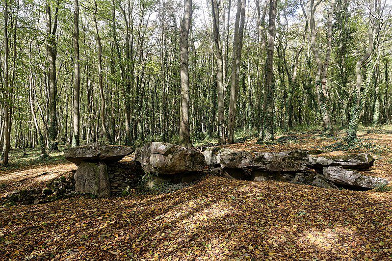 Dolmens. Menhirs. Allées couvertes. Cistes. Cairns et Tumulus en Normandie