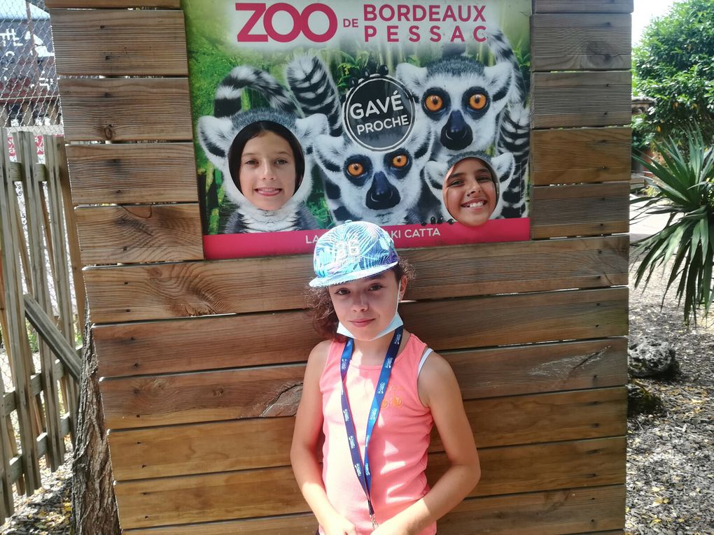 A la découverte des animaux du zoo de Bordeaux Pessac