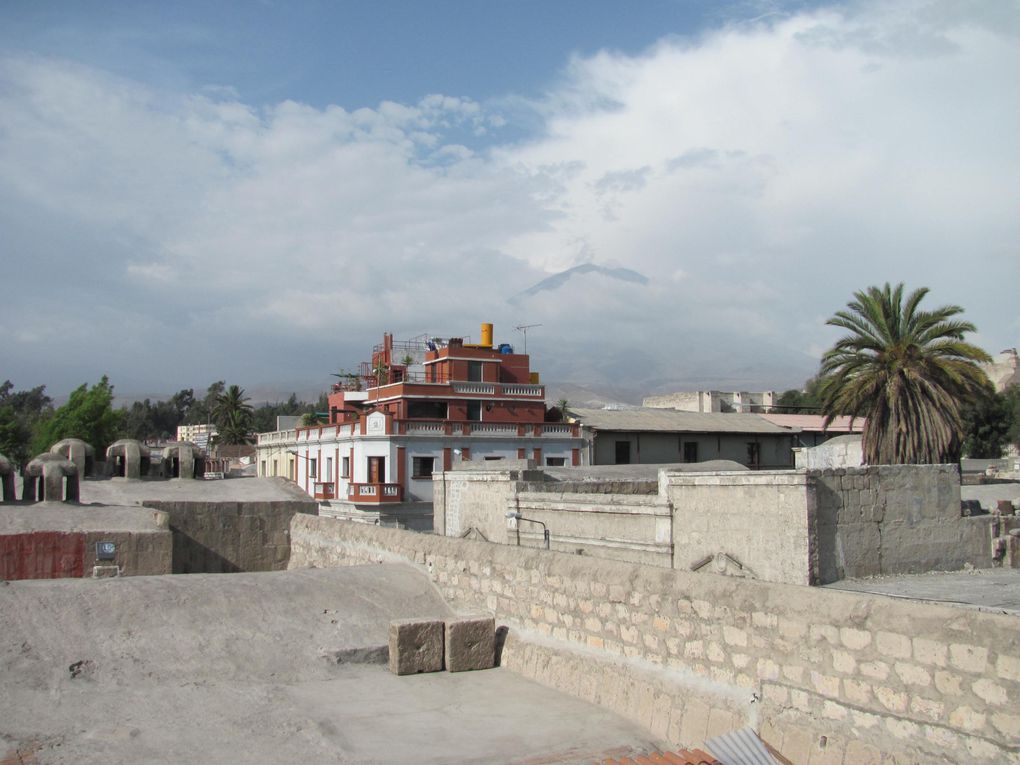 Album - 056-Perou-ArequipaCanyonColca-11au16mars