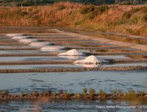 Crépuscule sur les marais-salants de la Presqu'Ile Guérandaise