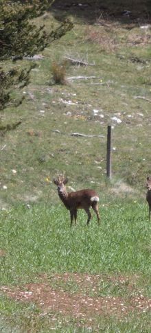 un mercredi dans le vercors