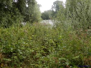 Aire sur la Lys, les ballastières (Voyages en camping-car)