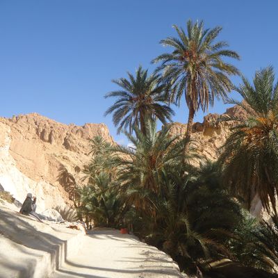 Au coeur des oasis de montagne, Chebika, un hymne à la vie