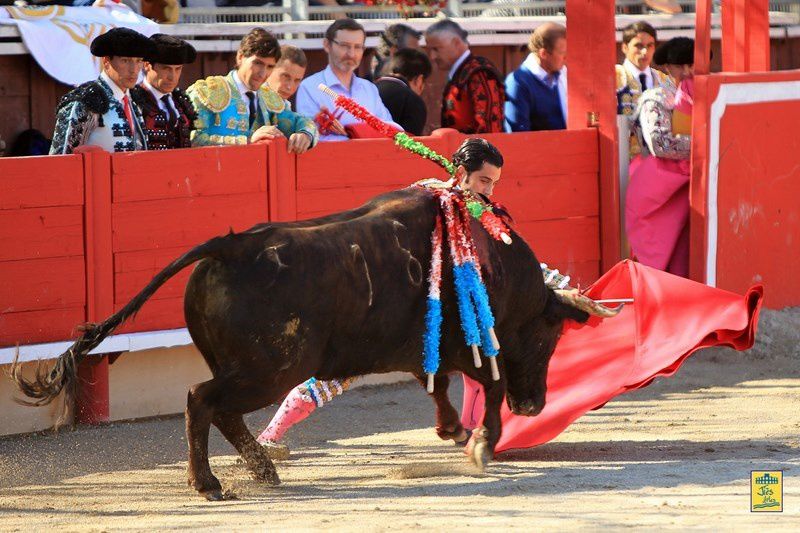 Arènes de VERGEZE (30) Dimanche 14 avril 2013 à 16H30-  Corrida du Rhôny avec  6 Toros des Frères Tardieu pour Marc Serrano, Antonio-João Ferrera et Alberto Lamelas - Cavalerie Heyral