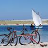 Album vacances : Lesconil