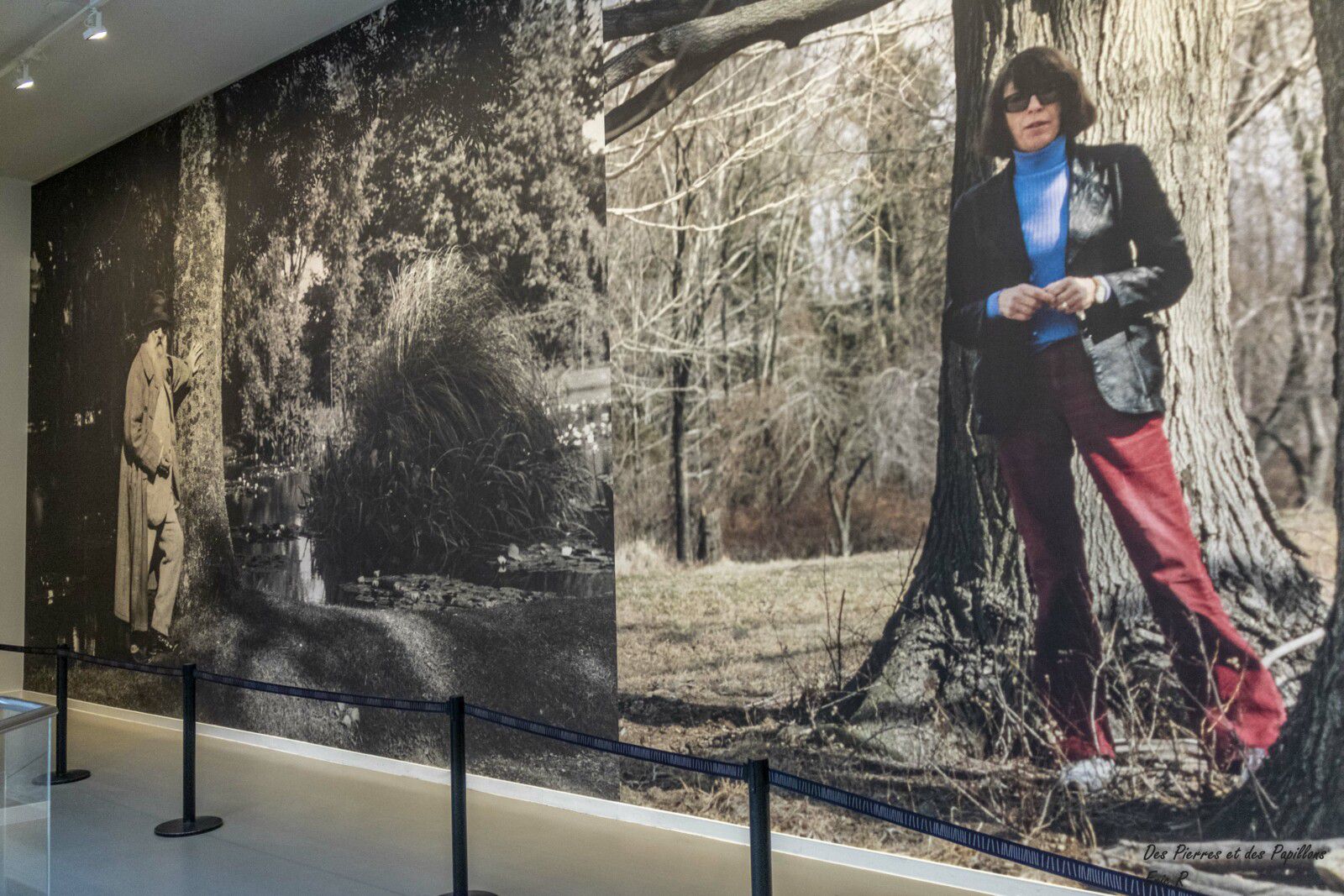 La Joan Mitchell Foundation accuse la Fondation Vuitton d'avoir