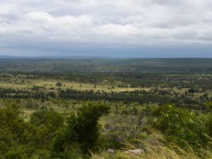 Parc Kruger: de Satara à Lower Sabie