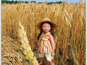 Les filles de l'été 