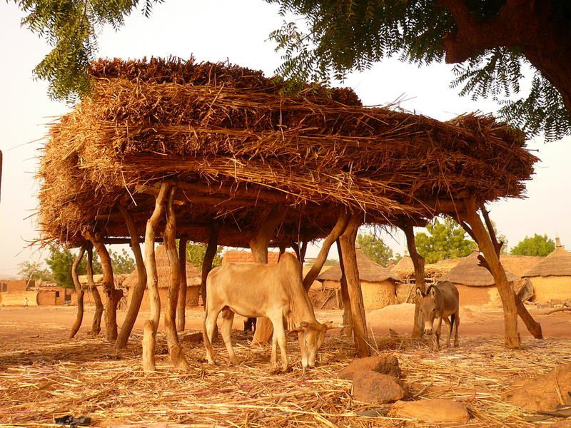 Album - Paysages d'Afrique / African landscapes 2010