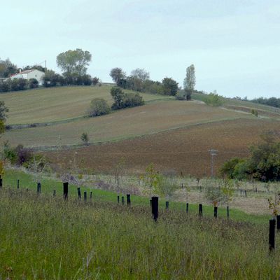 Automne en Lauragais